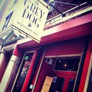 The Grey Dog. New York, United States