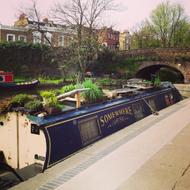 Regent's Canal. London, United Kingdom