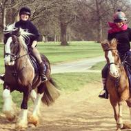 Horse riding in Hyde Park. London, United Kingdom