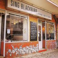 Sing Blackbird. Berlin, Germany