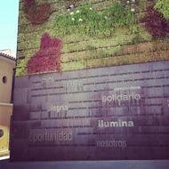 Green Wall. Malaga, Spain